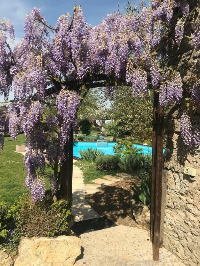 Chambres D'Hotes La Vallee Des Vignes Monthou-sur-Cher Exteriér fotografie